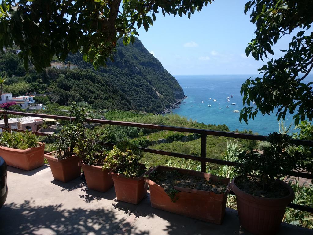 Residence Giardino Del Sole Forio di Ischia エクステリア 写真