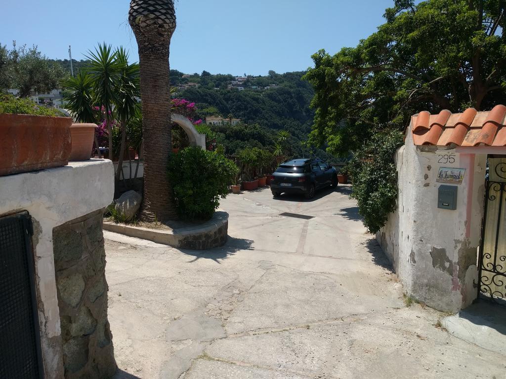 Residence Giardino Del Sole Forio di Ischia エクステリア 写真