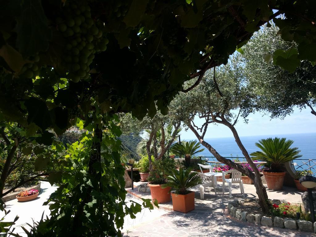 Residence Giardino Del Sole Forio di Ischia エクステリア 写真