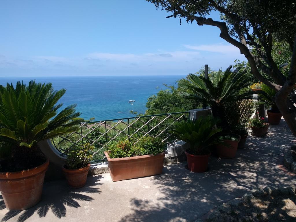 Residence Giardino Del Sole Forio di Ischia エクステリア 写真