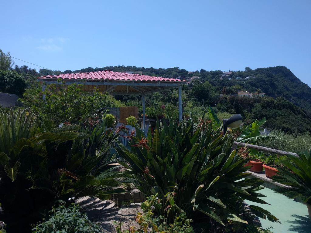 Residence Giardino Del Sole Forio di Ischia エクステリア 写真