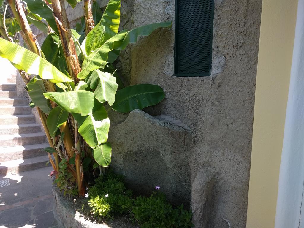 Residence Giardino Del Sole Forio di Ischia エクステリア 写真