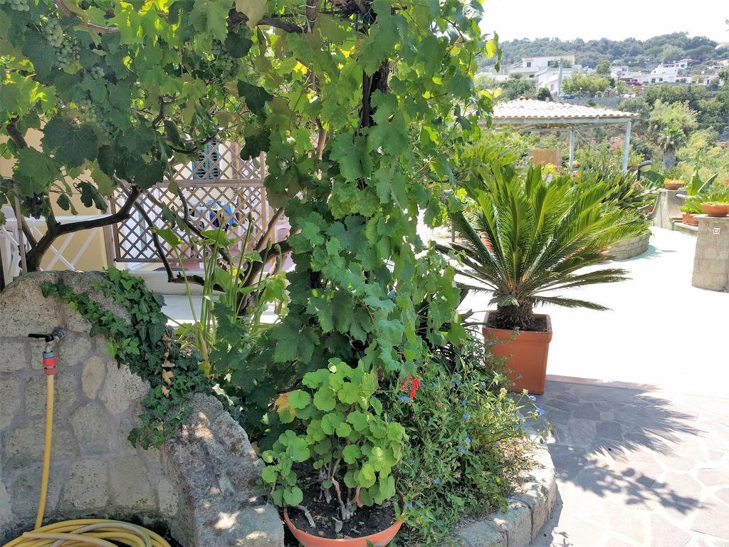 Residence Giardino Del Sole Forio di Ischia エクステリア 写真
